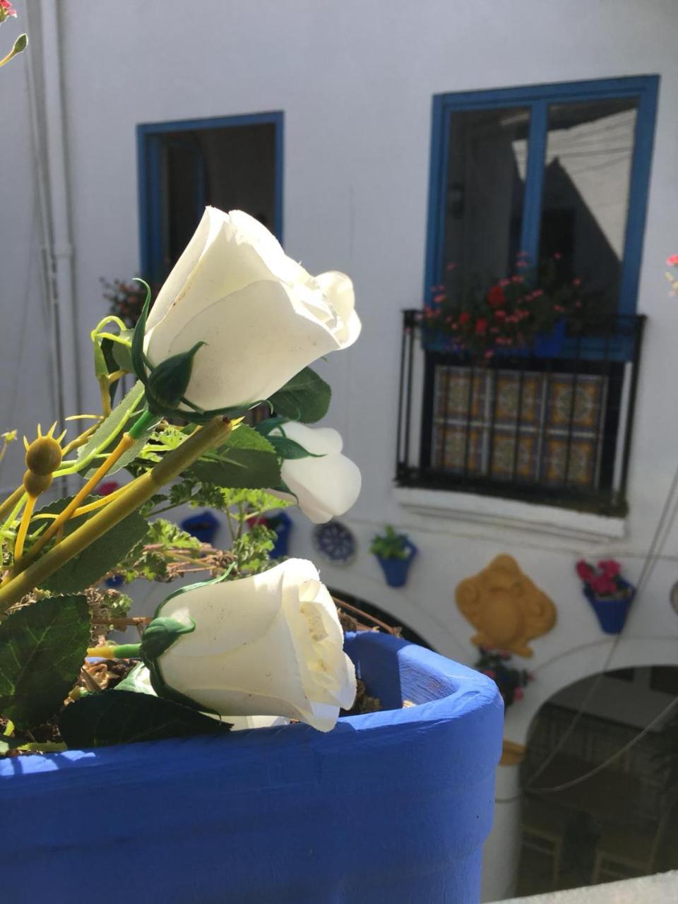 Seneca Hostel Cordoba Luaran gambar